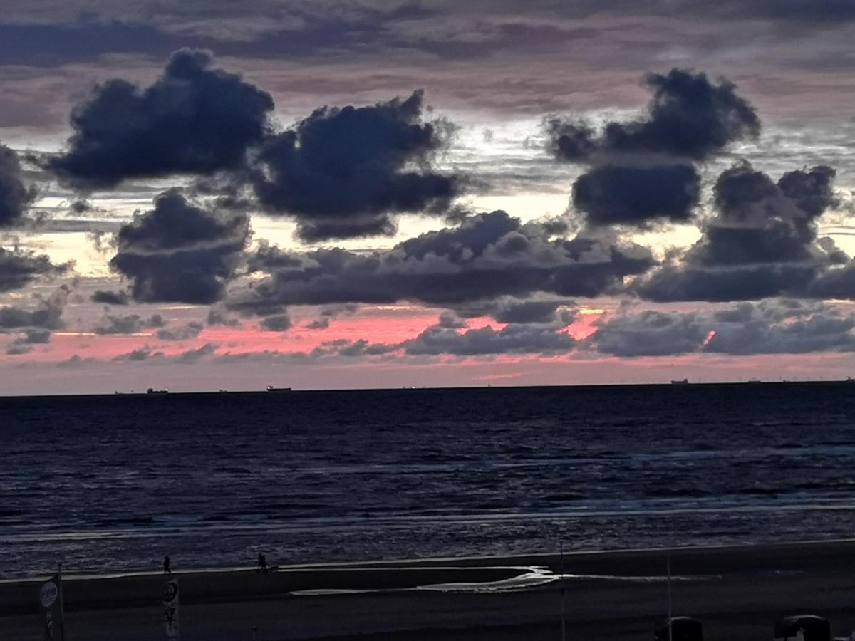 Beach Apartments Seaview Plus Parking Zandvoort Kültér fotó